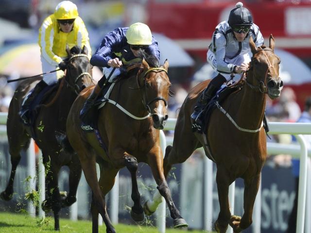 We're racing at Epsom, Catterick, and Market Rasen this afternoon